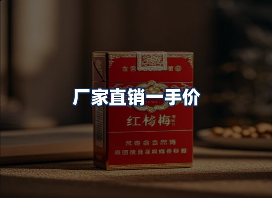 专业团队办公环境